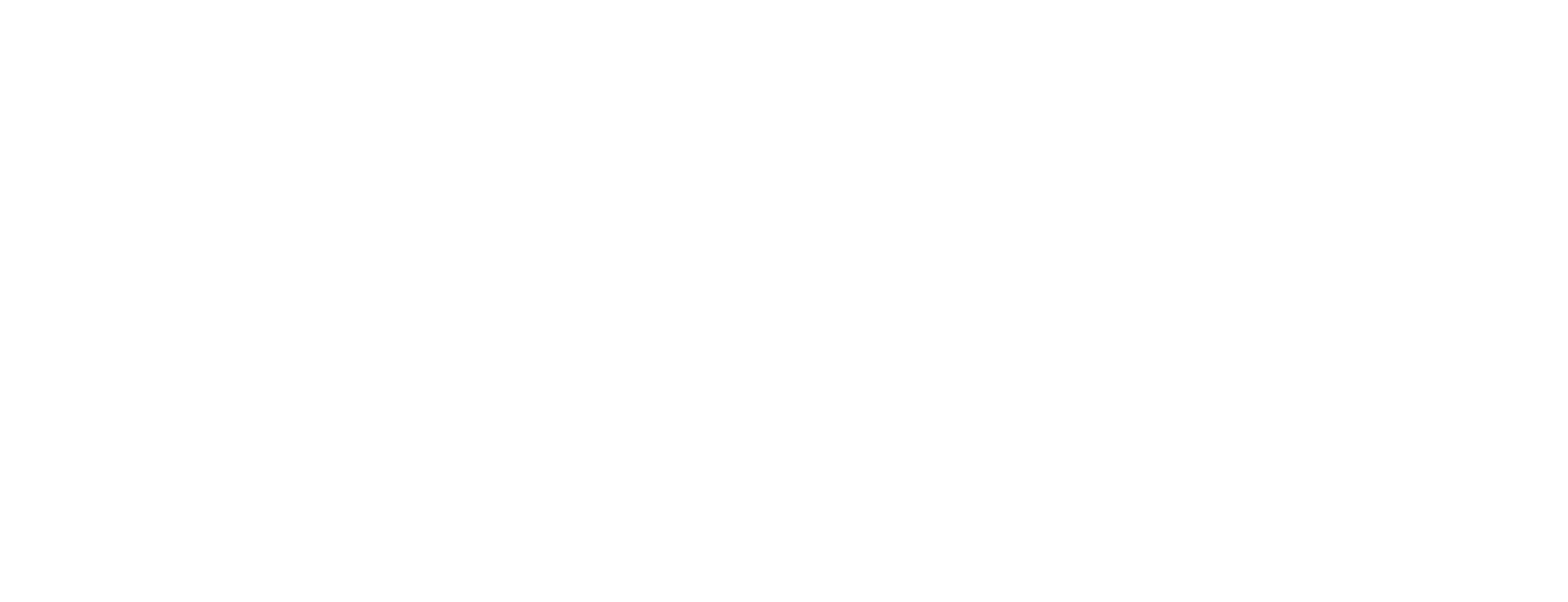 logo_horizontal_blanc